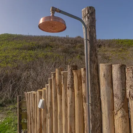 De Lepelaar * Callantsoog